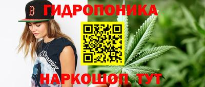 стафф Будённовск